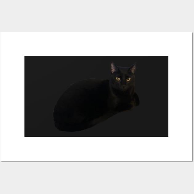 Black Cat Loaf Wall Art by whizz0